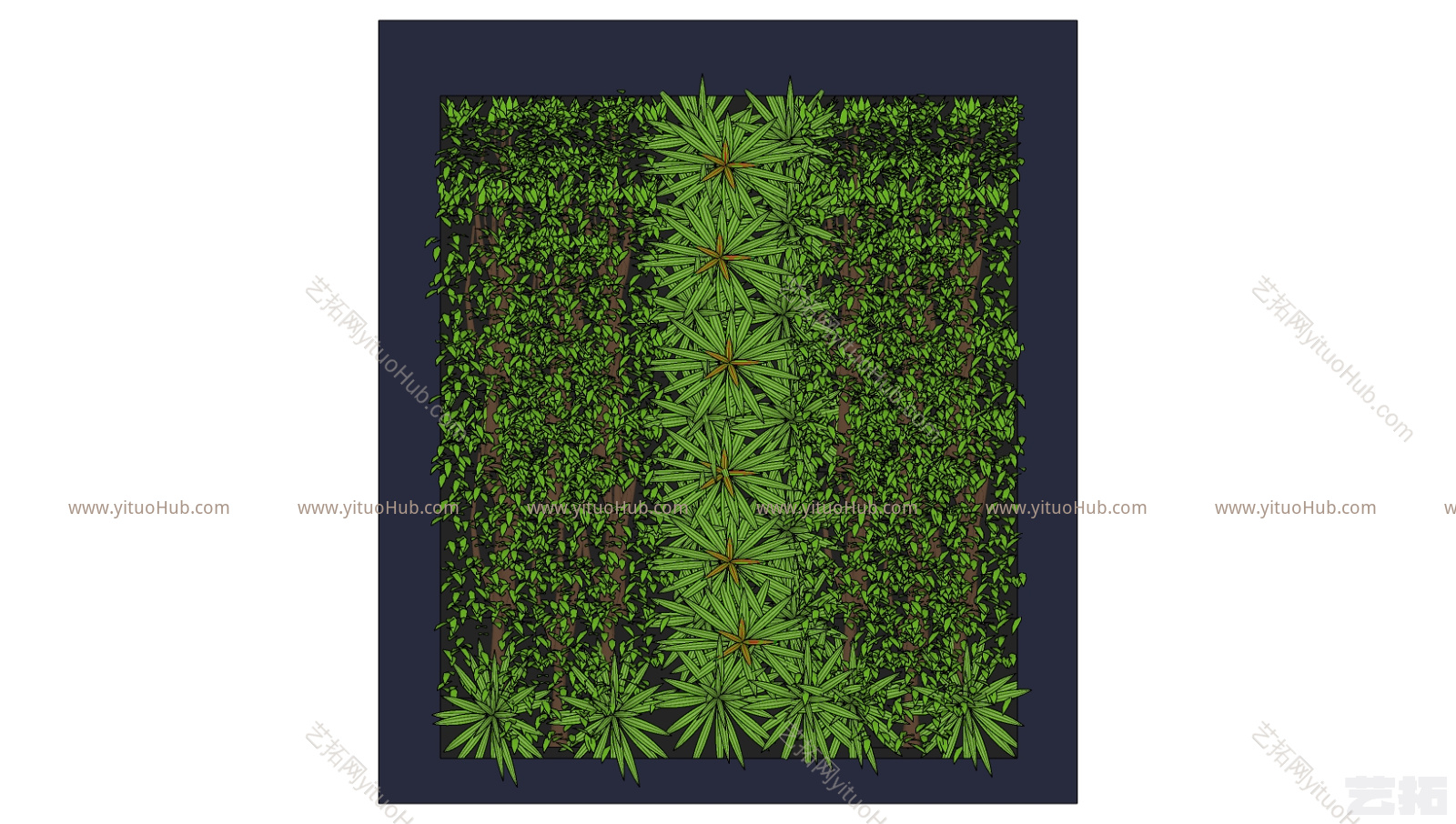 现代装饰植物 绿植墙 组合   