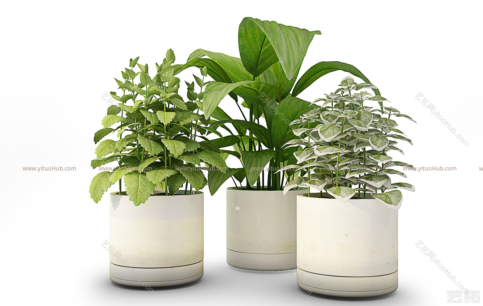现代装饰植物盆栽