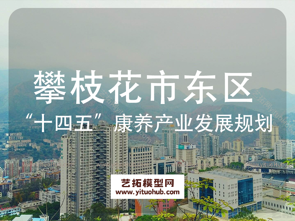 攀枝花市东区“十四五”康养 产业发展规划