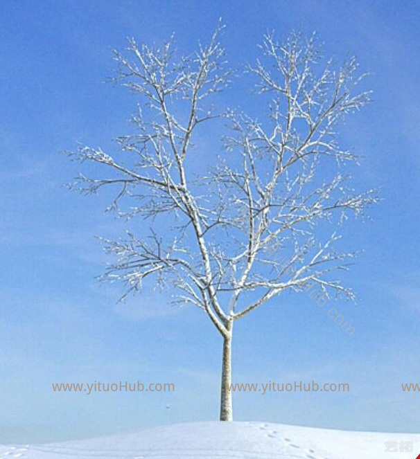 现代雪景树