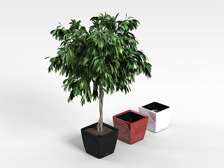 绿植花盆组合模型