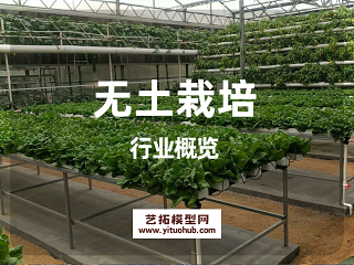中国无土栽培行业概览