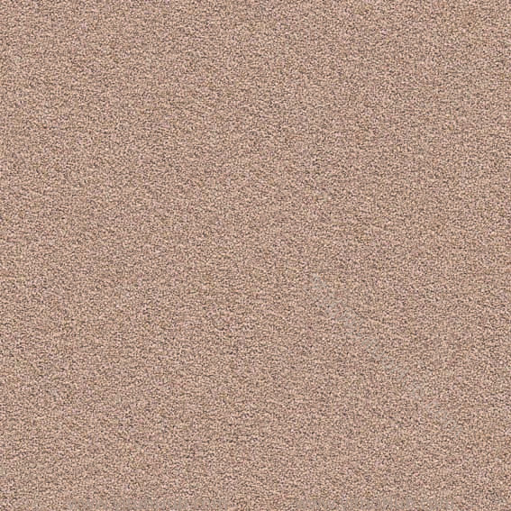 办公地毯贴图