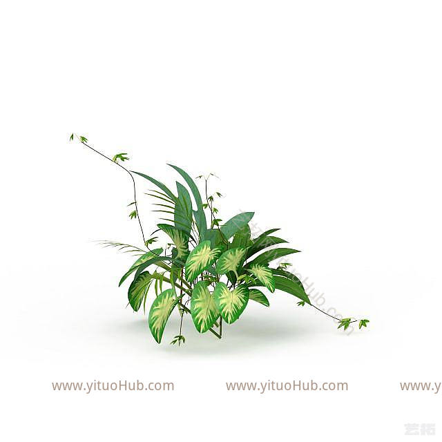 现代观赏花草模型