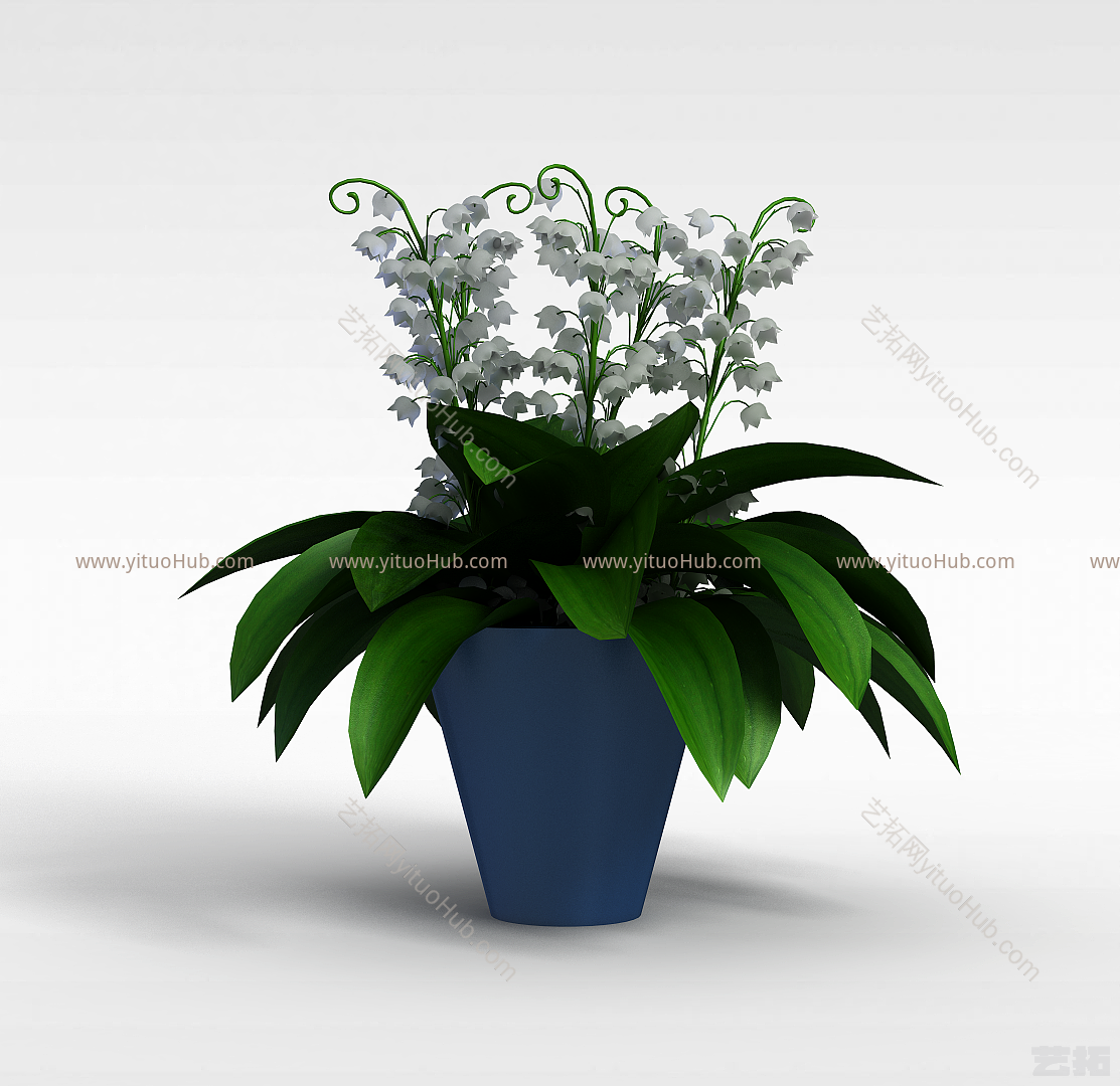 白色室内植物模型