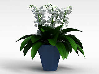 白色室内植物模型