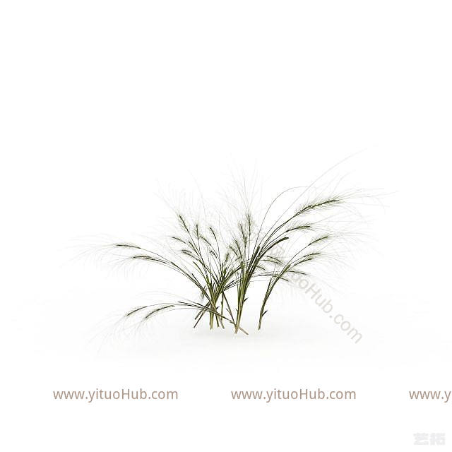 现代野草模型