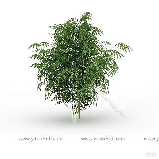 现代园林植物竹子模型