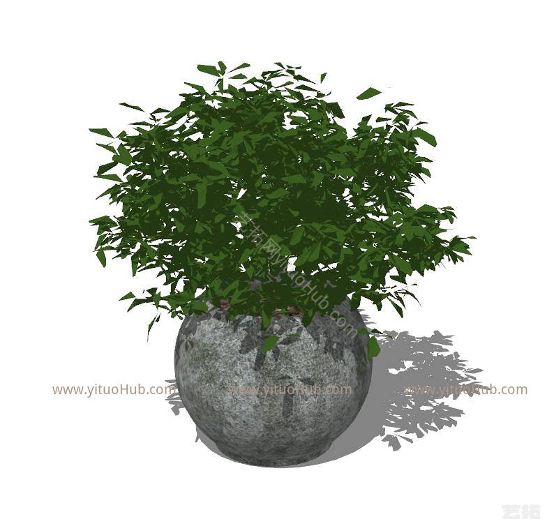 植物花盆 盆栽