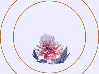 商业元素盘子盘子 (125)盘子 (125)
