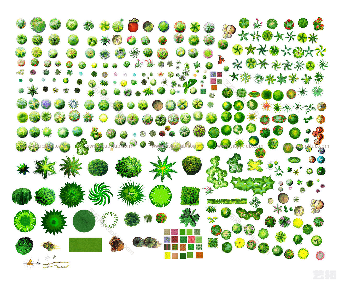 园林植物彩平图块