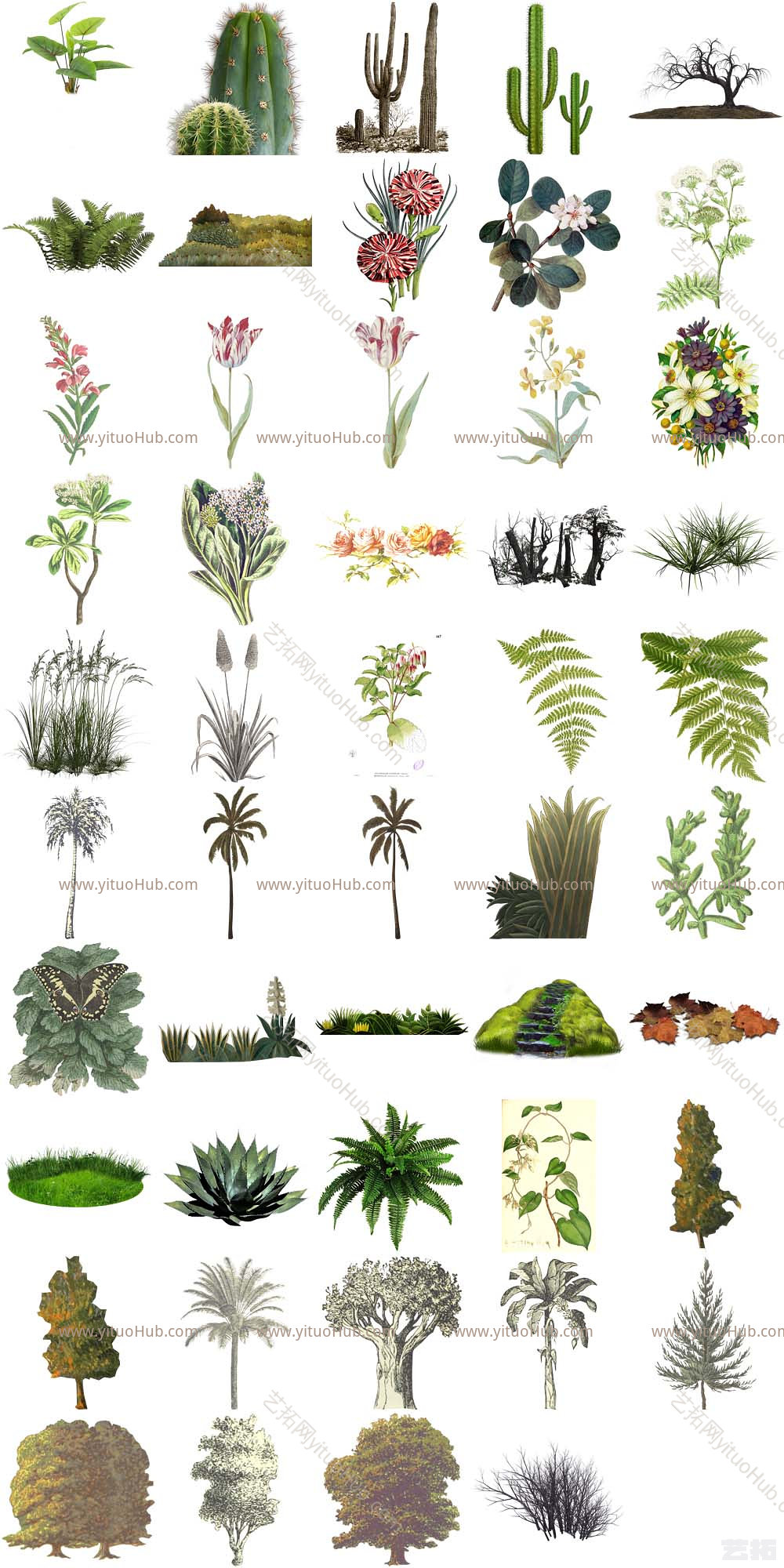 插画拼贴风植物素材