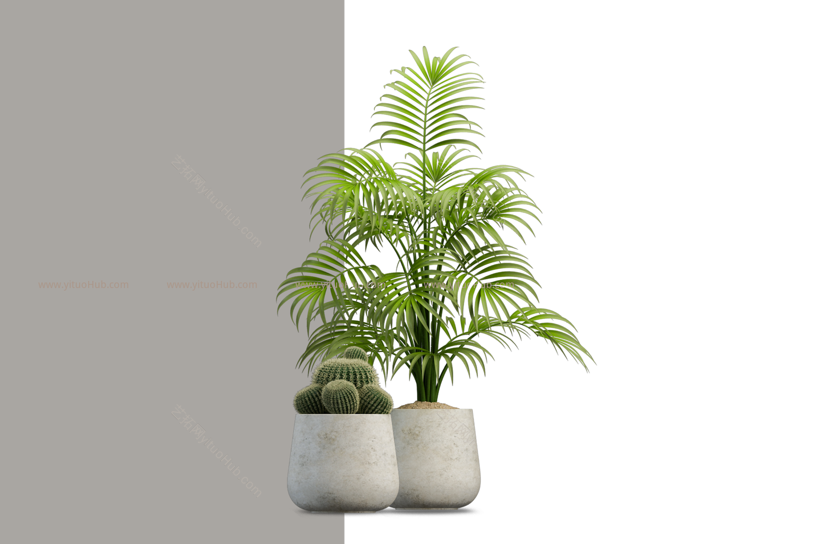 盆栽植物