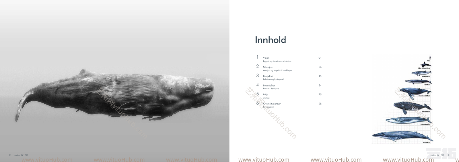THE WHALE 白鲸方案-Reiulf+Ramstad