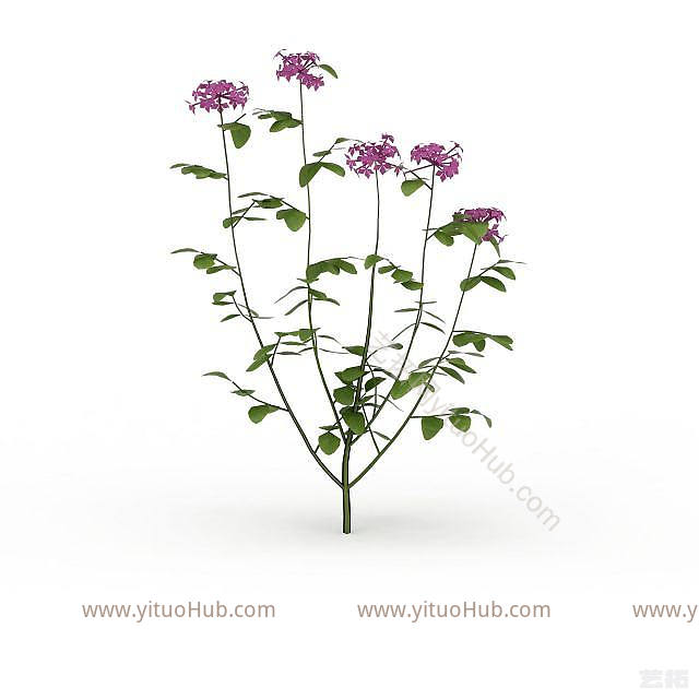 现代紫色花朵模型