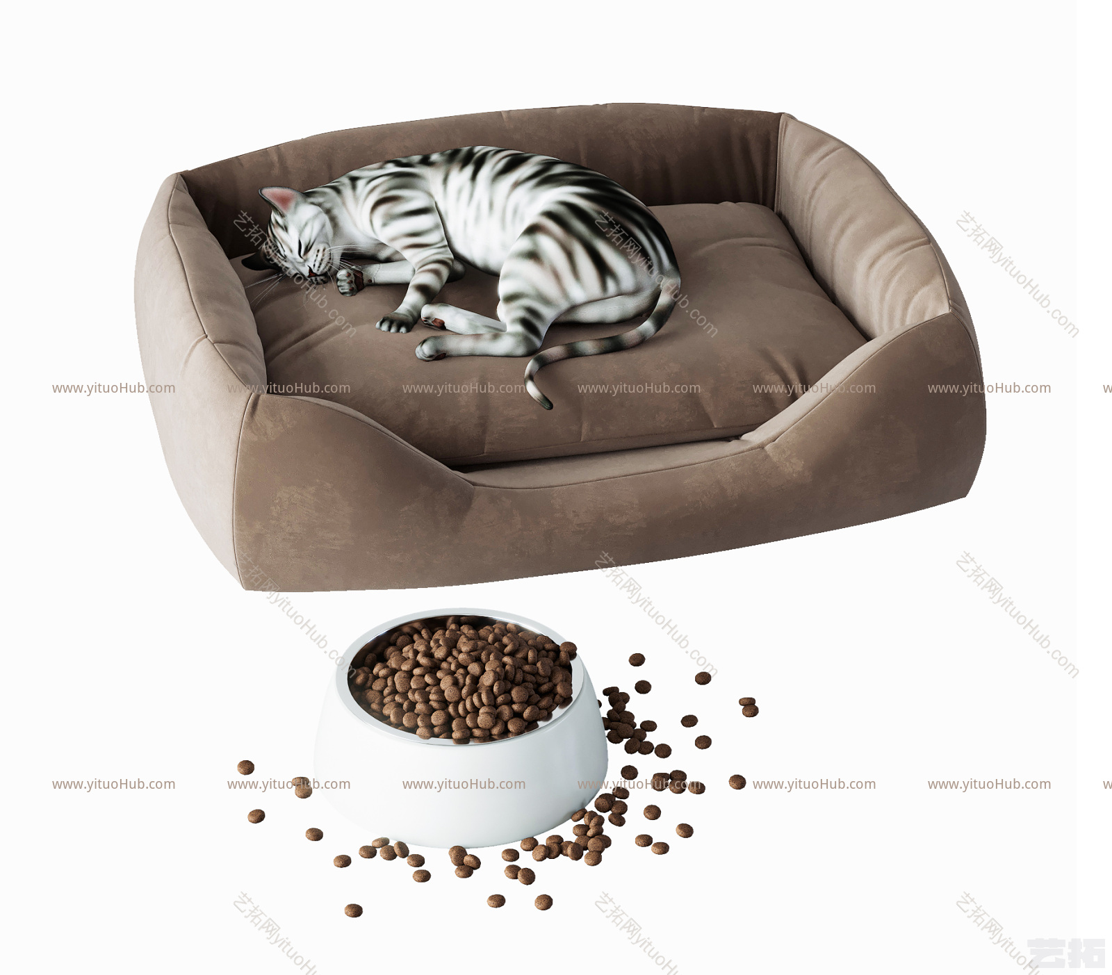 现代宠物猫 猫舍 宠物
