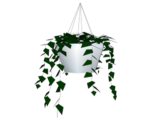 盆栽植物
