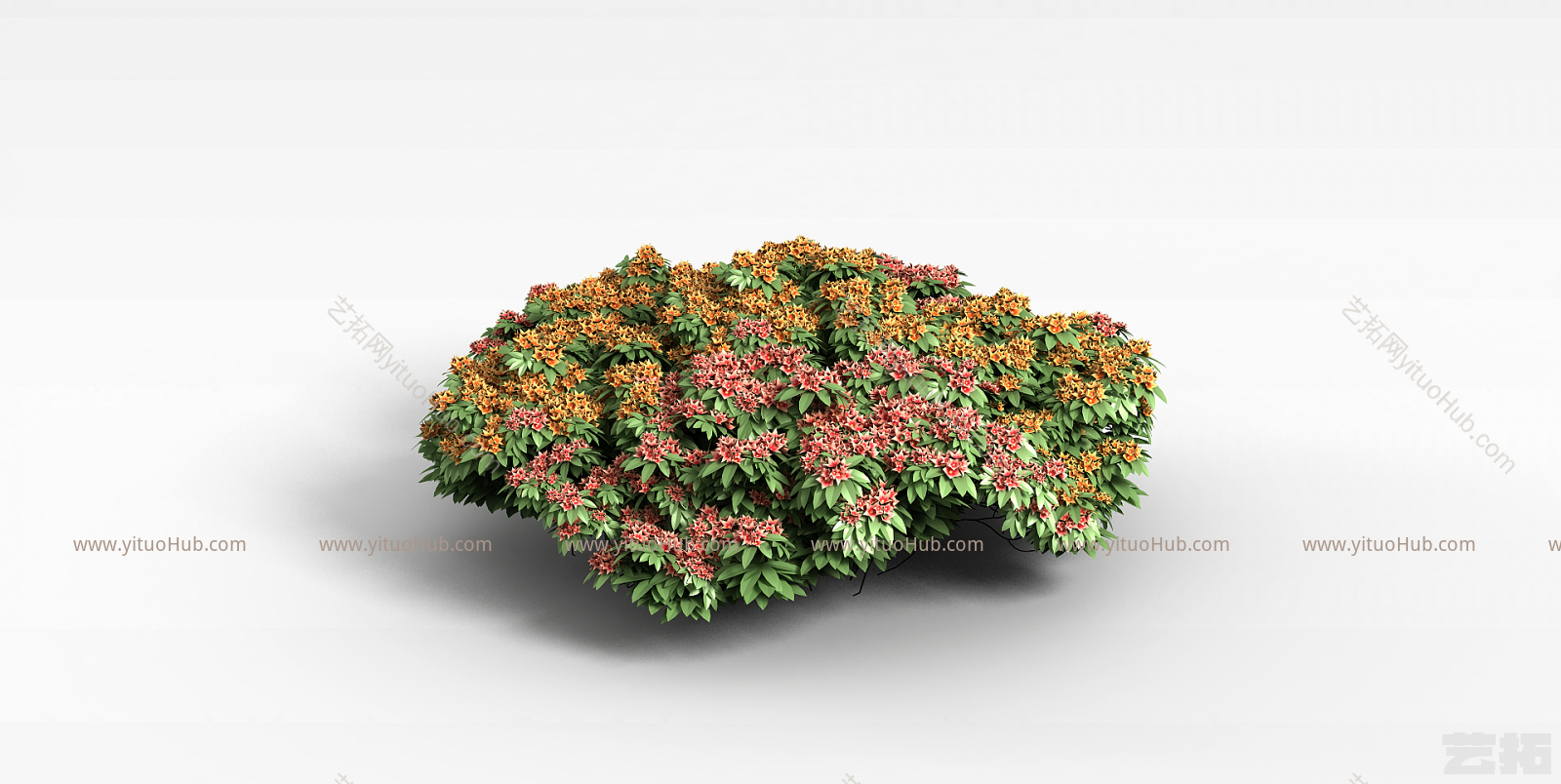 现代植物花草绿植模型