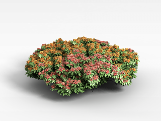 现代植物花草绿植模型