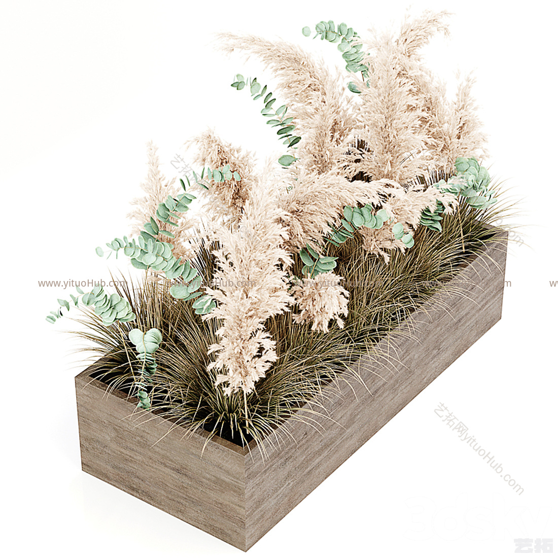 现代植物盆栽