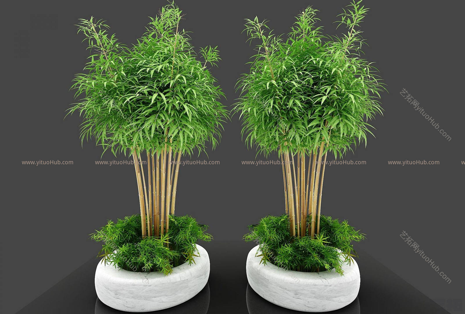 现代装饰植物模型