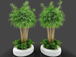 现代装饰植物模型