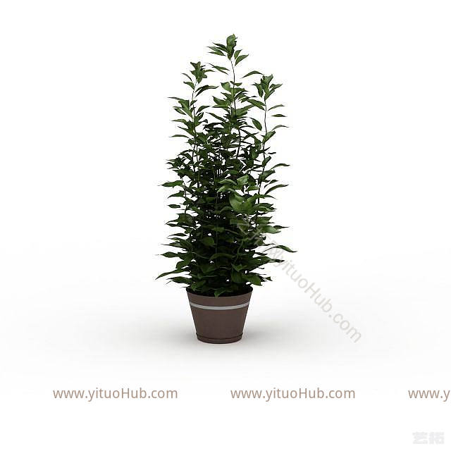 现代办公室绿植模型