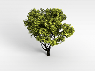 现代植物大树模型
