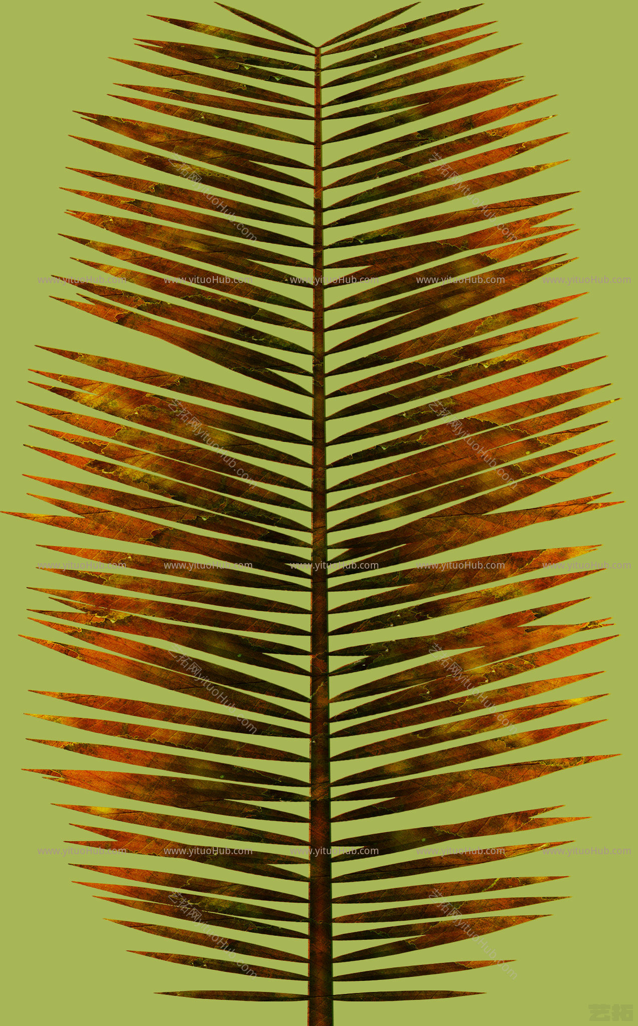 植物草叶植样纹 (597)植样纹 (597)