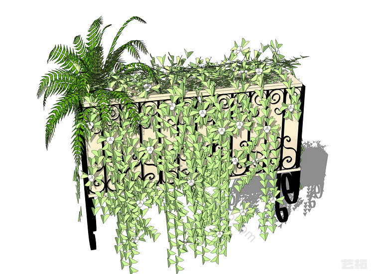 精品免费吊篮植物