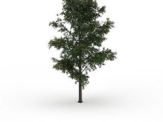 现代院子绿化植物模型