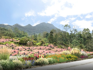 花海花带花田花卉主题风景区效果图