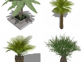现代花草绿植植物 菠萝 其他 花 画