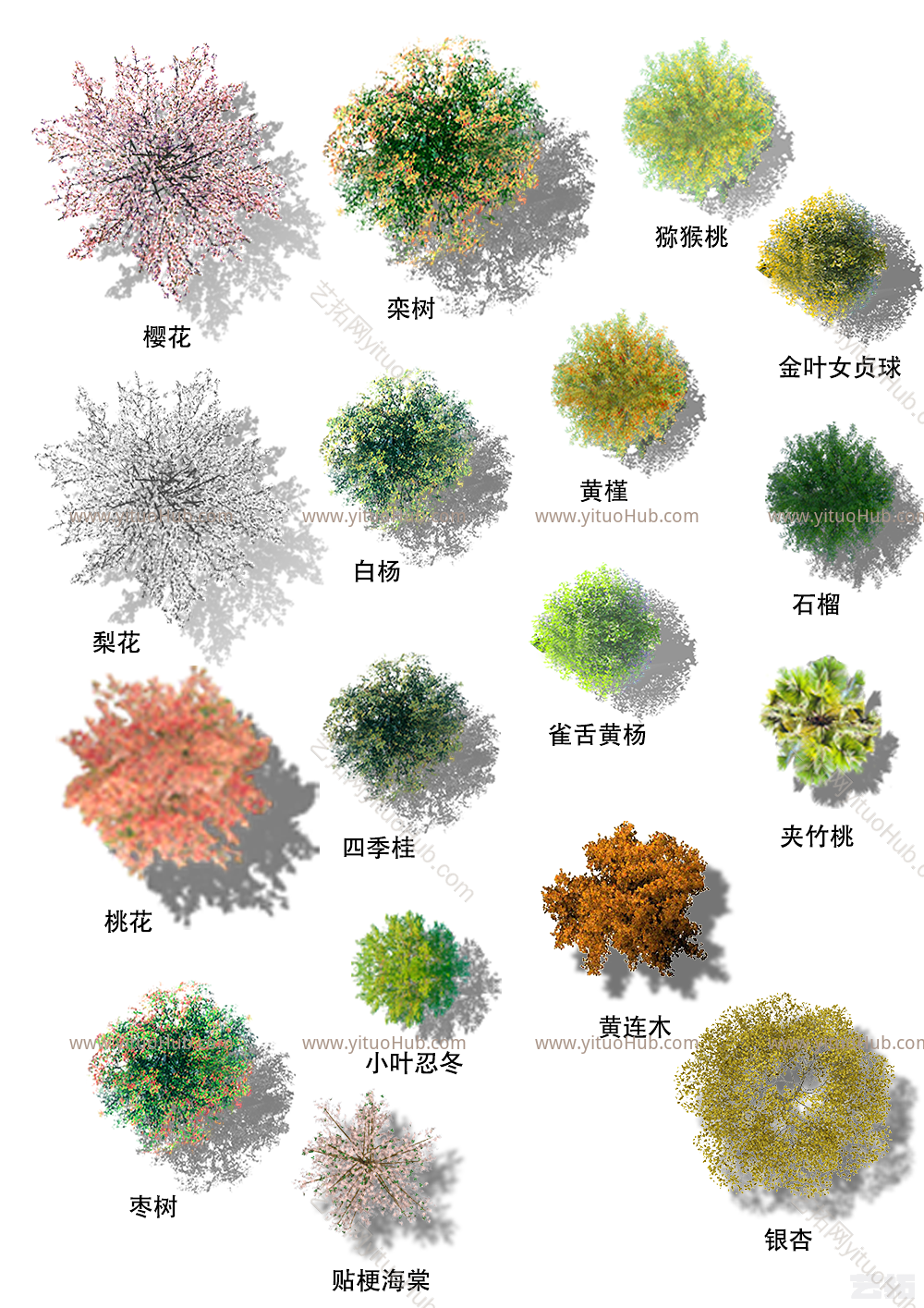 常用免扣乔木平面素材
