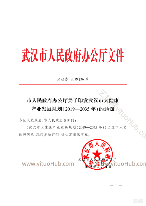 武汉市大健康产业发展规划