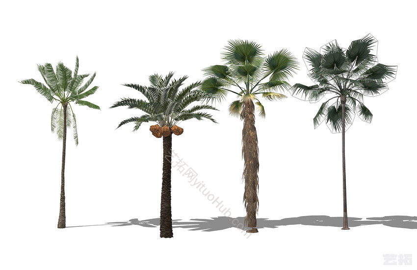 3D植物树组合