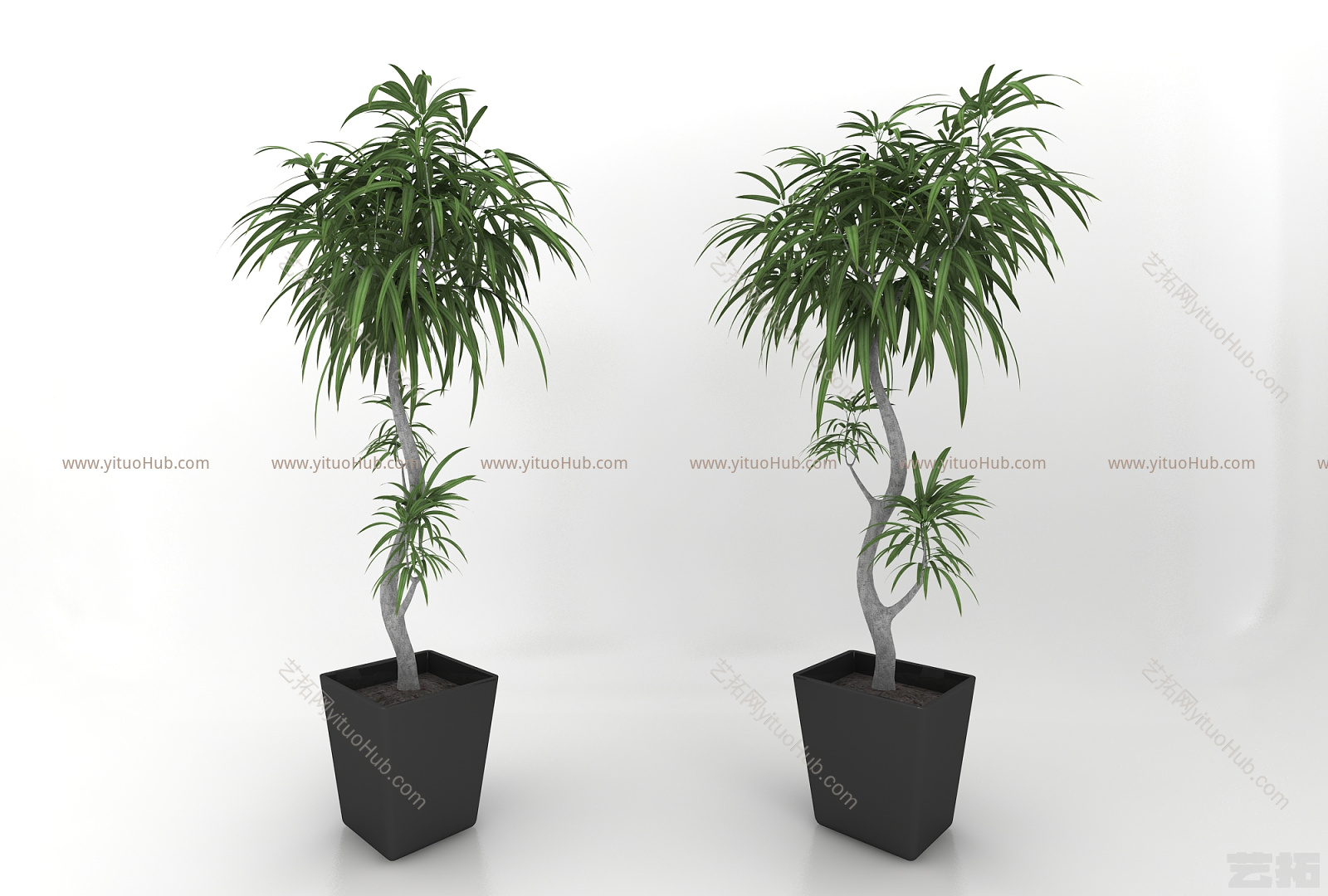 现代风格植物盆栽