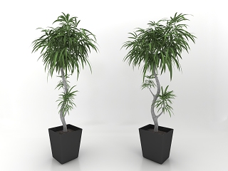 现代风格植物盆栽