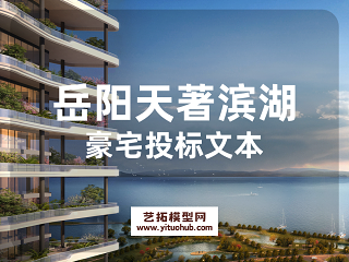 岳阳天著滨湖豪宅投标文本