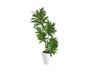 室内外植物盆栽花架花墙