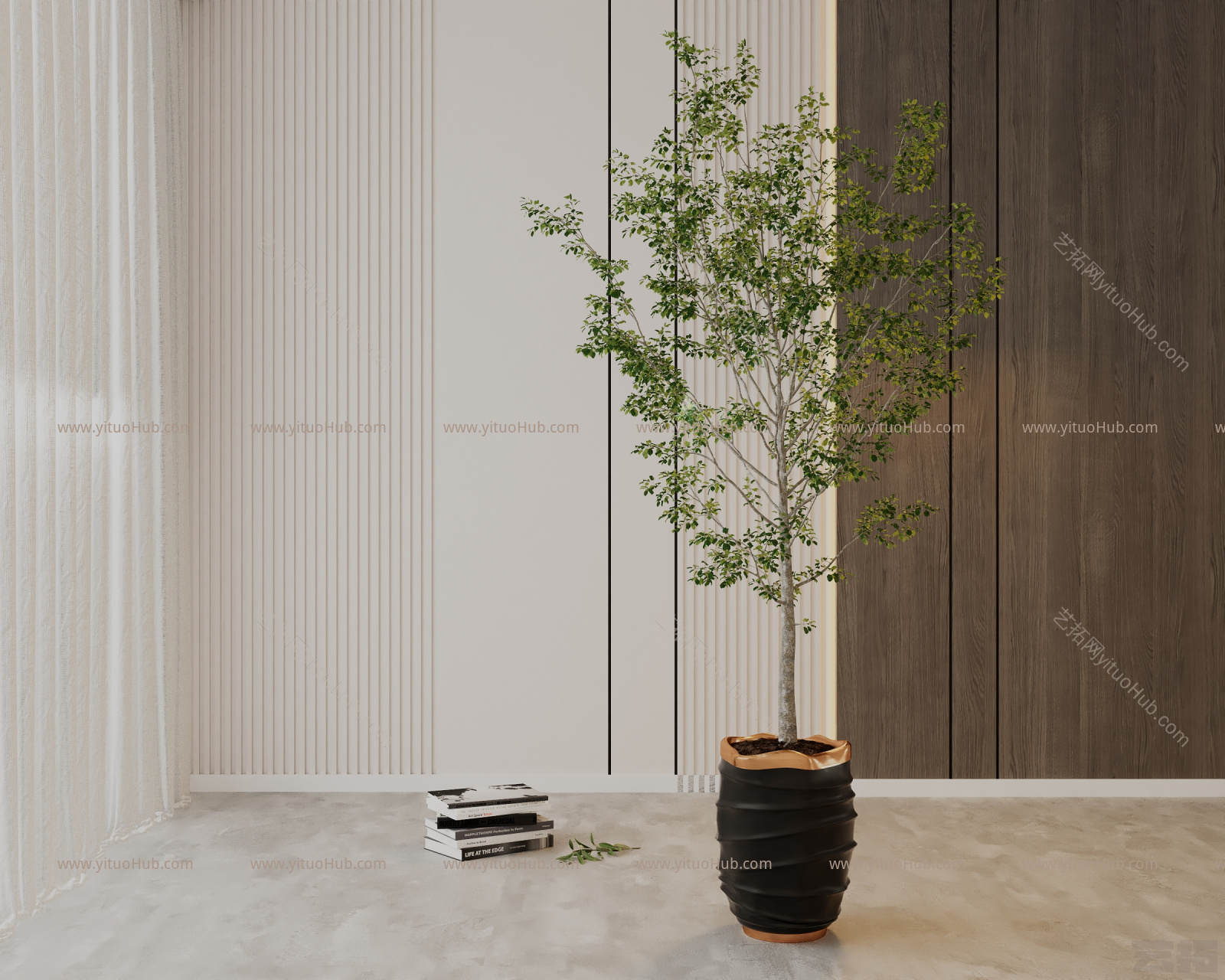 现代植物盆栽