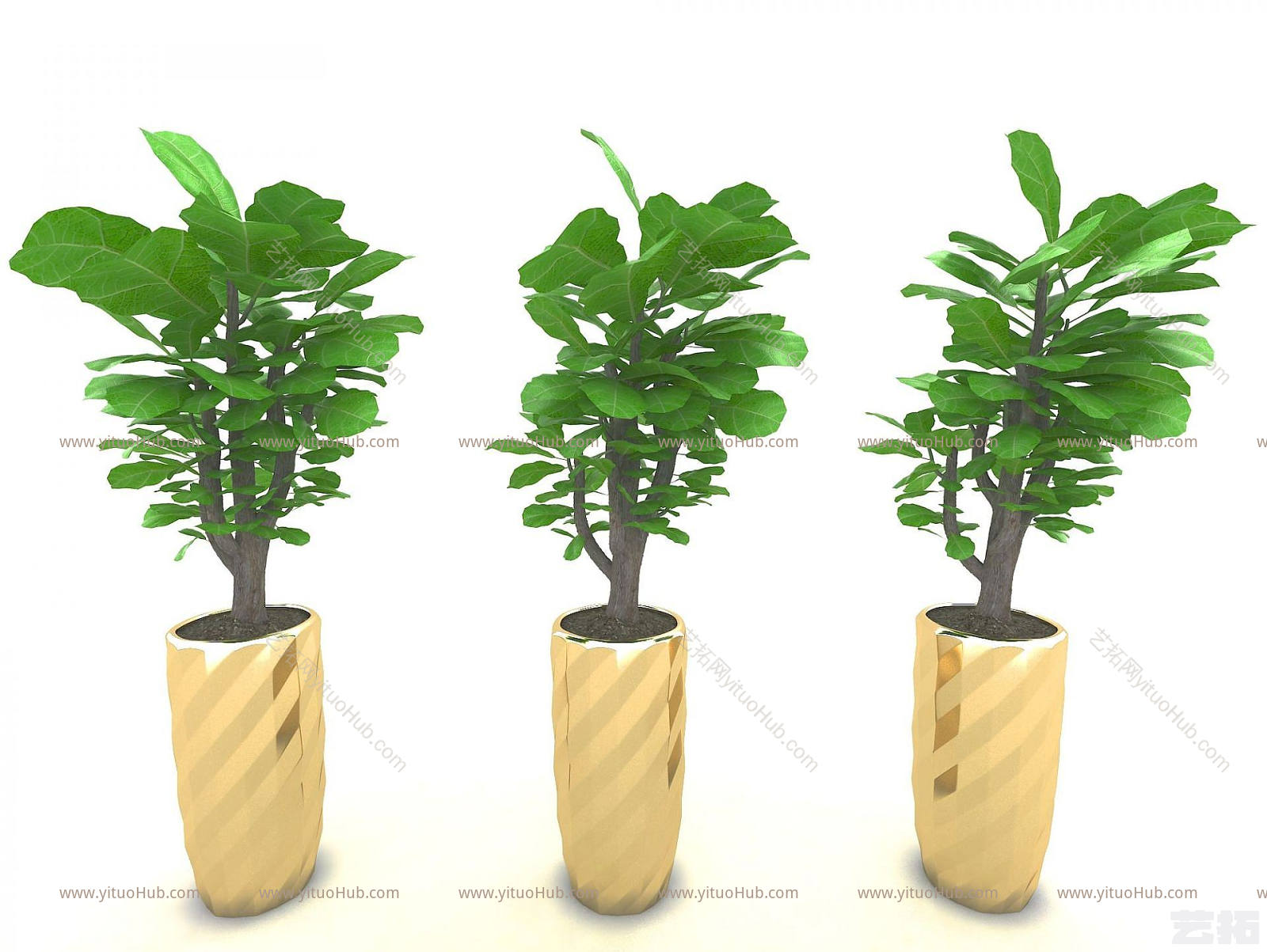 现代风格植物模型