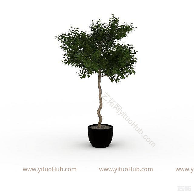现代盆栽室内植物模型