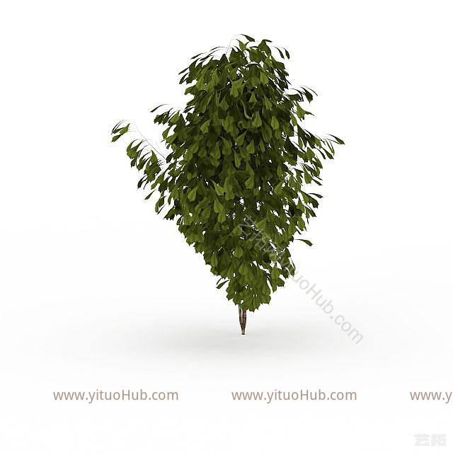 现代观赏绿植模型