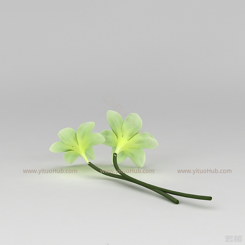 现代绿色花朵模型