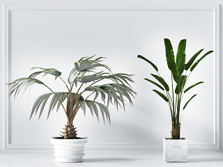现代植物绿叶盆栽组合，花瓶，花盆，绿叶盆栽 ，植物摆件