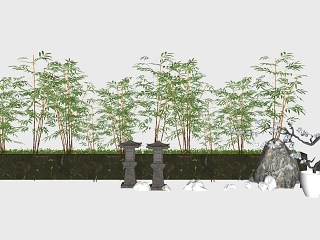 现代富贵竹子假山植物盆栽小品组合
