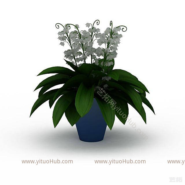 白色室内植物模型