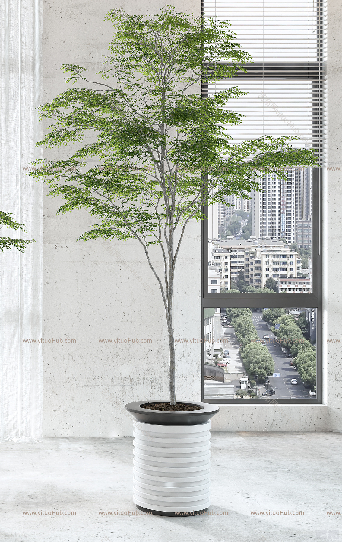 现代绿植盆栽盆景