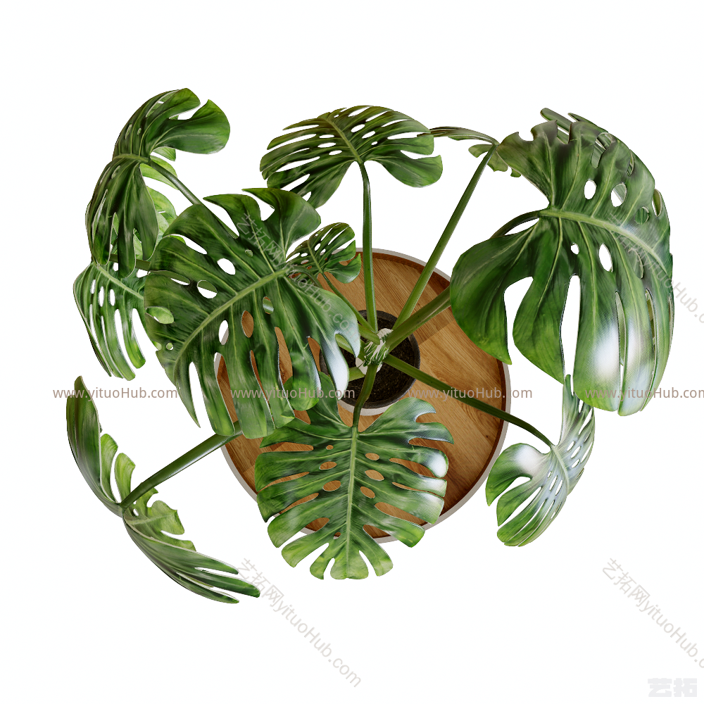 滴水植物盆栽茶几